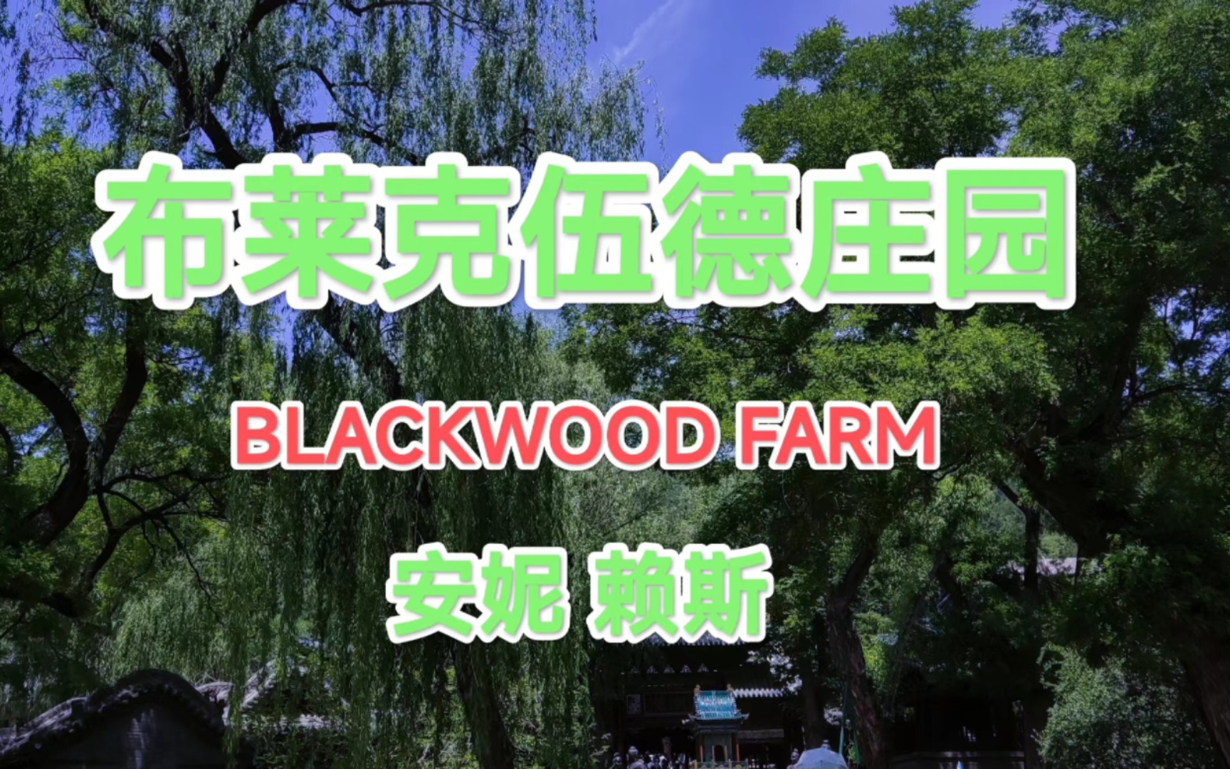 【读书】布莱克伍德庄园29