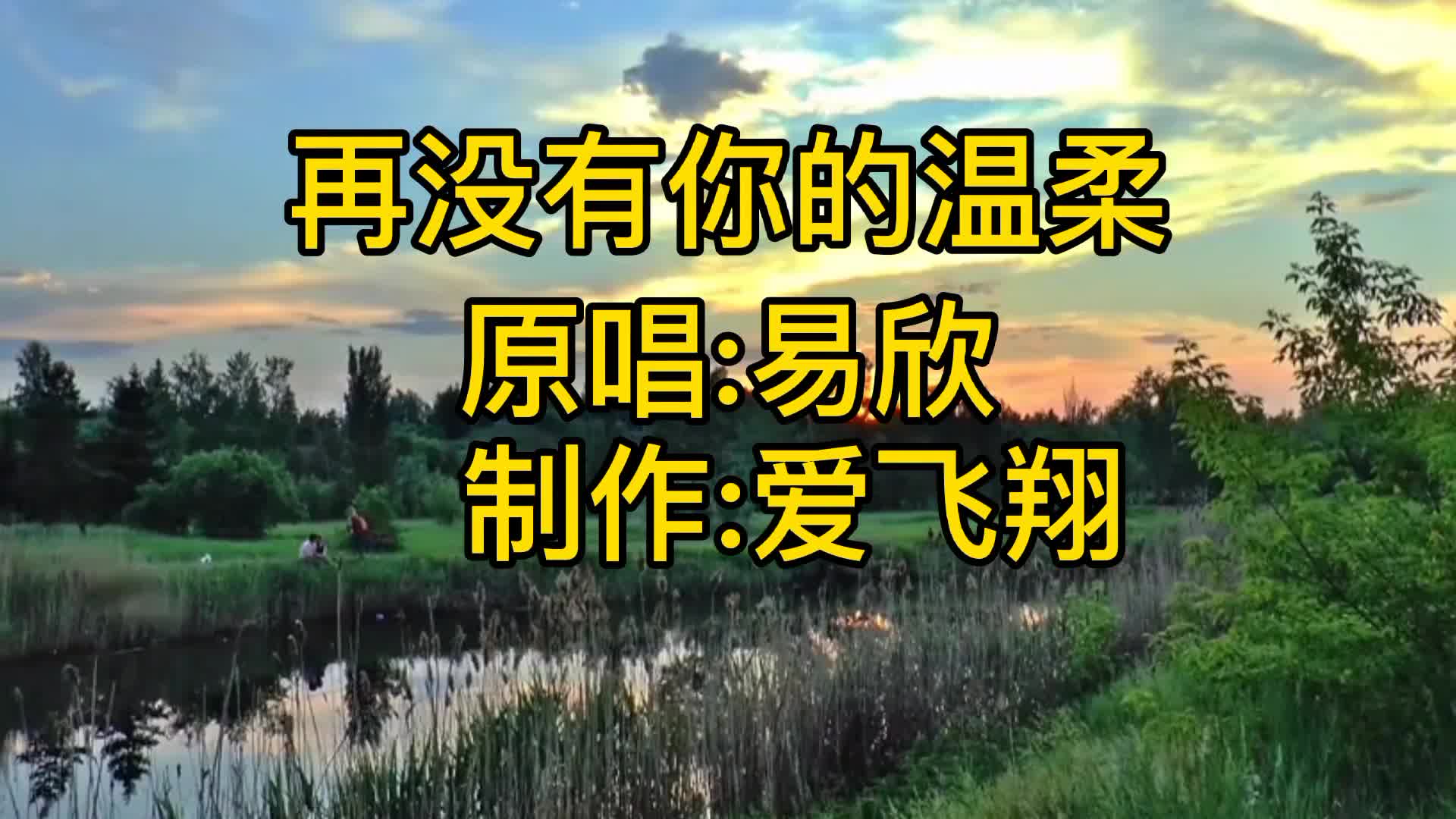 [图]易欣一首《再没有你的温柔》经典老歌，好听极了