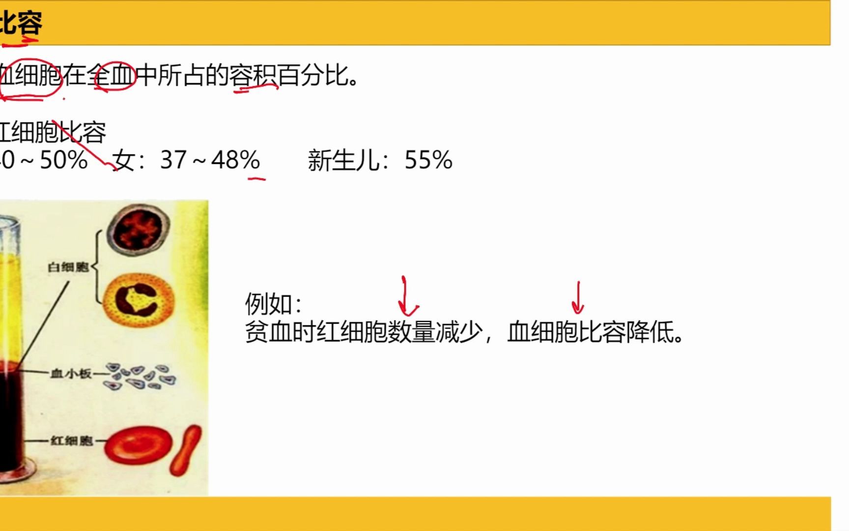 广东专升本生理学课程资料分享哔哩哔哩bilibili