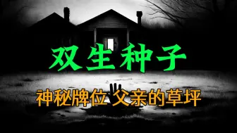 【恐怖怪谈】父亲从老家带来一个孕妇，不久后翻新了一块草坪