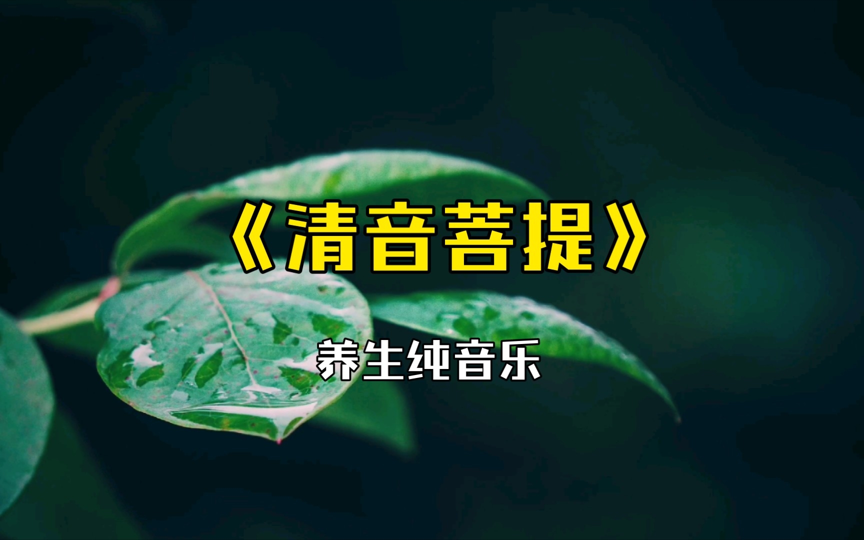 [图]莫问人间烦心事，一切行云流水中，古筝版《清音菩提》养神静心，繁华世界，还心灵一方净土