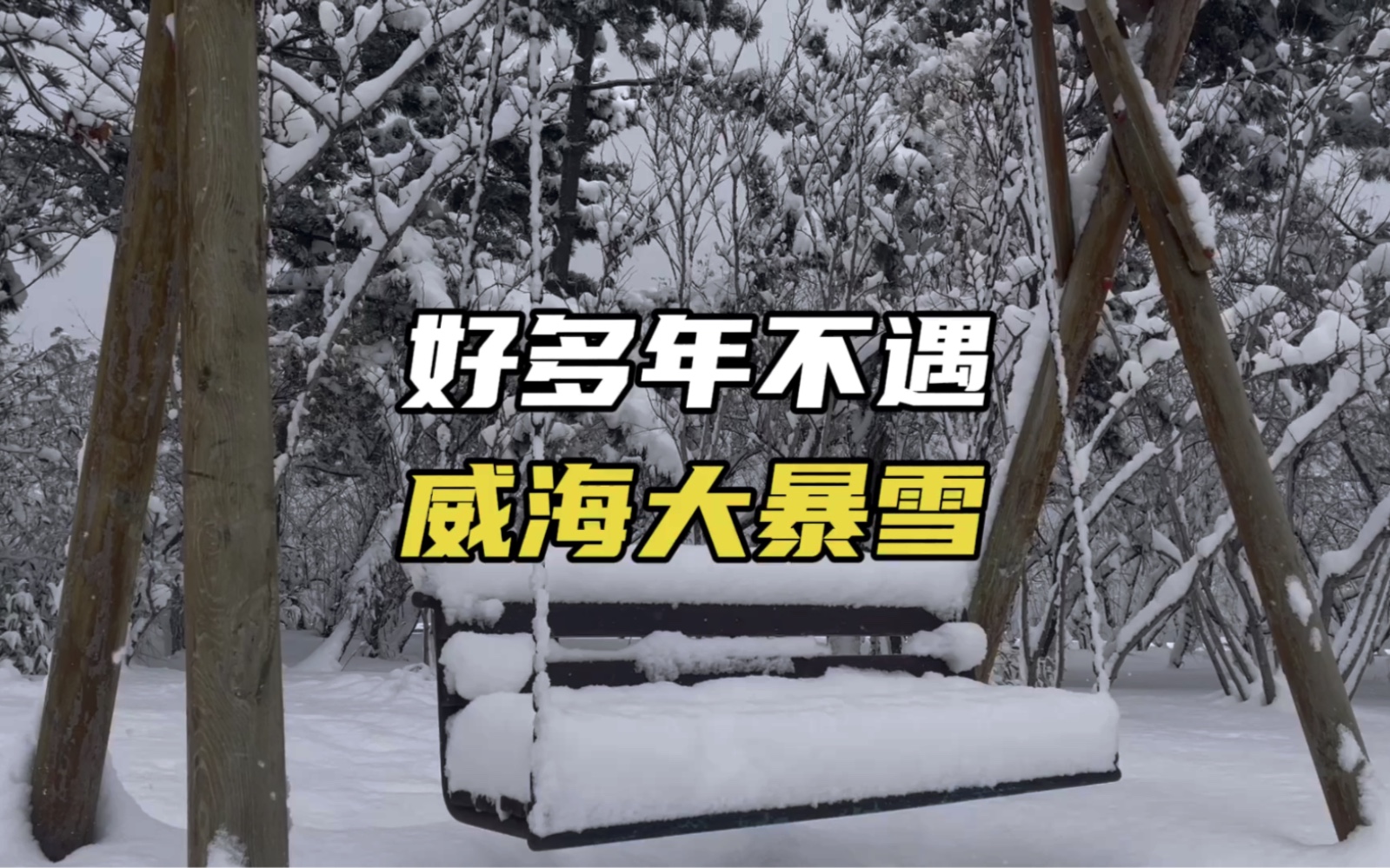 威海大暴雪下两天了,多年不遇的大雪