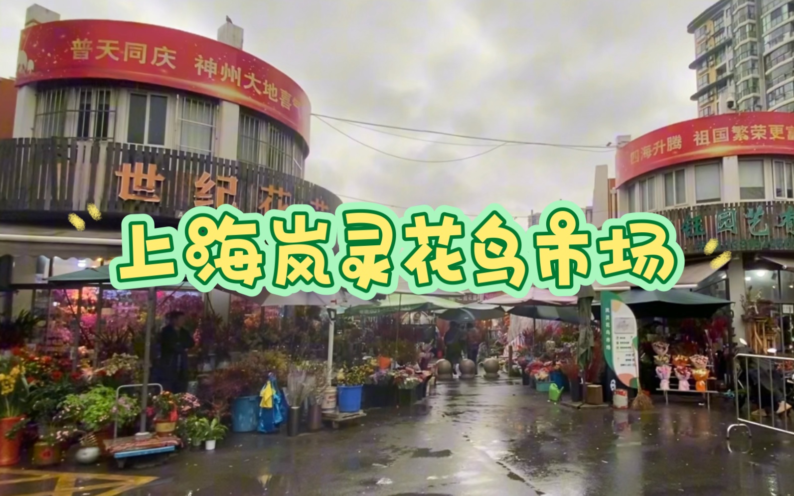 上海岚灵花鸟市场一日游