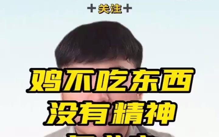 鸡不吃东西没有精神什么情况哔哩哔哩bilibili