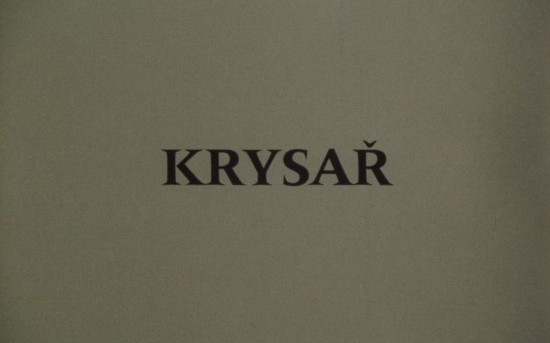 吹笛者Krysar.1986.哔哩哔哩bilibili