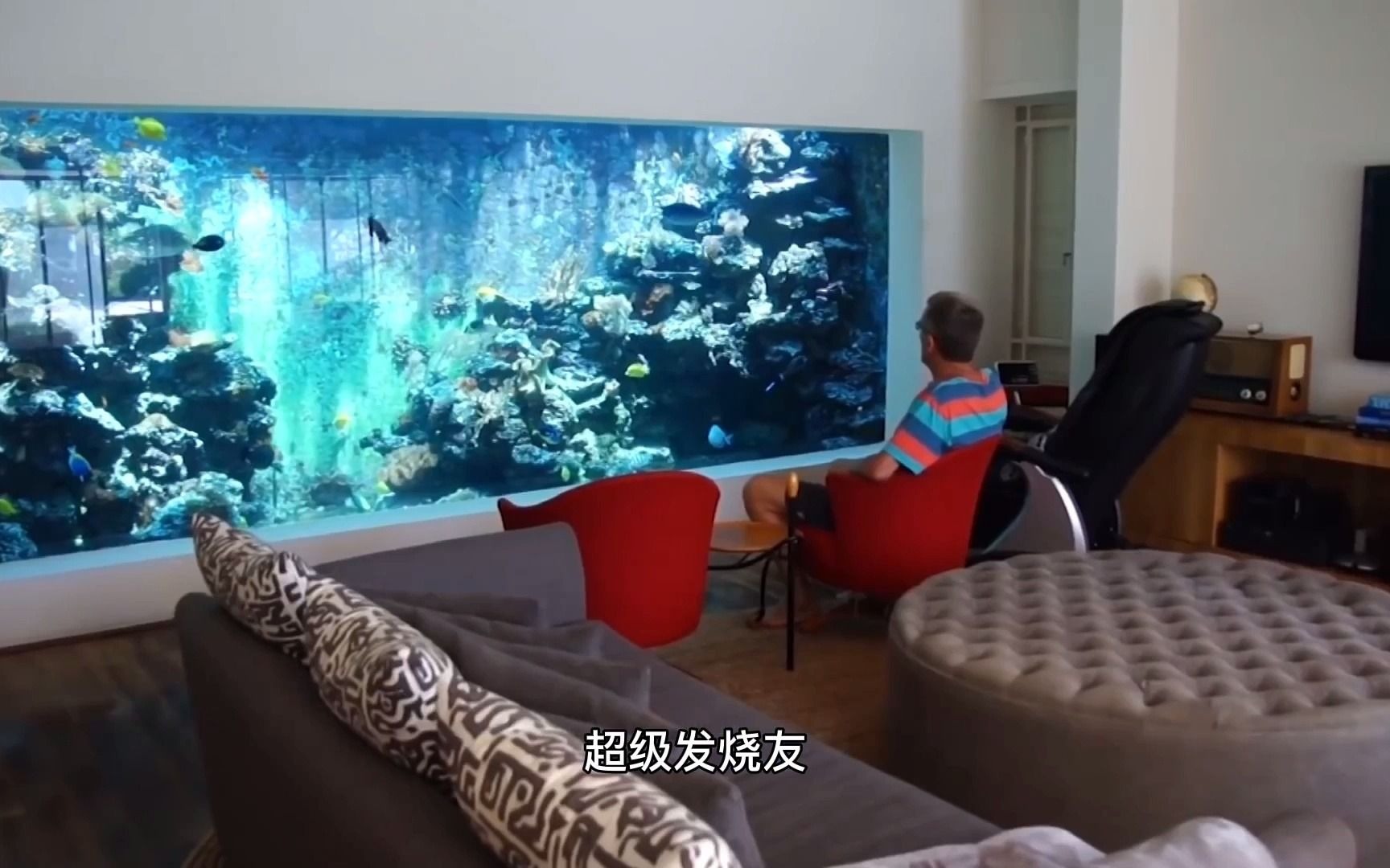 私人超大水族馆顶级海水鱼水族箱能进入鱼缸喂鱼和观赏鱼零距离亲密