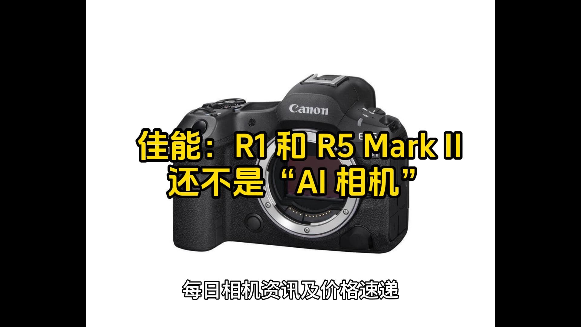 佳能:将 R1 和 R5 Mark II 称为“AI 相机”有点言过其实哔哩哔哩bilibili