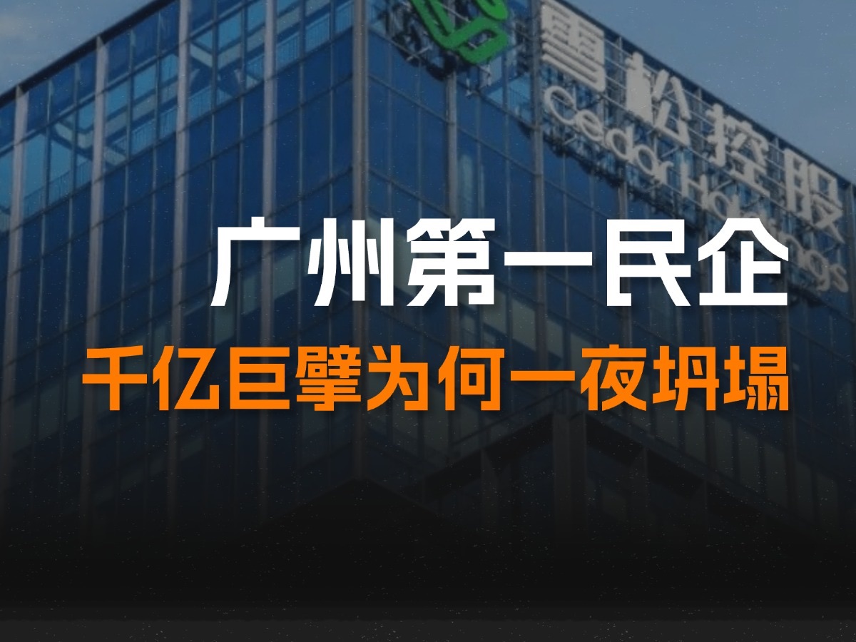 造假、自融、诈骗,营收2000亿的广州第一民企,是吹起来的?哔哩哔哩bilibili