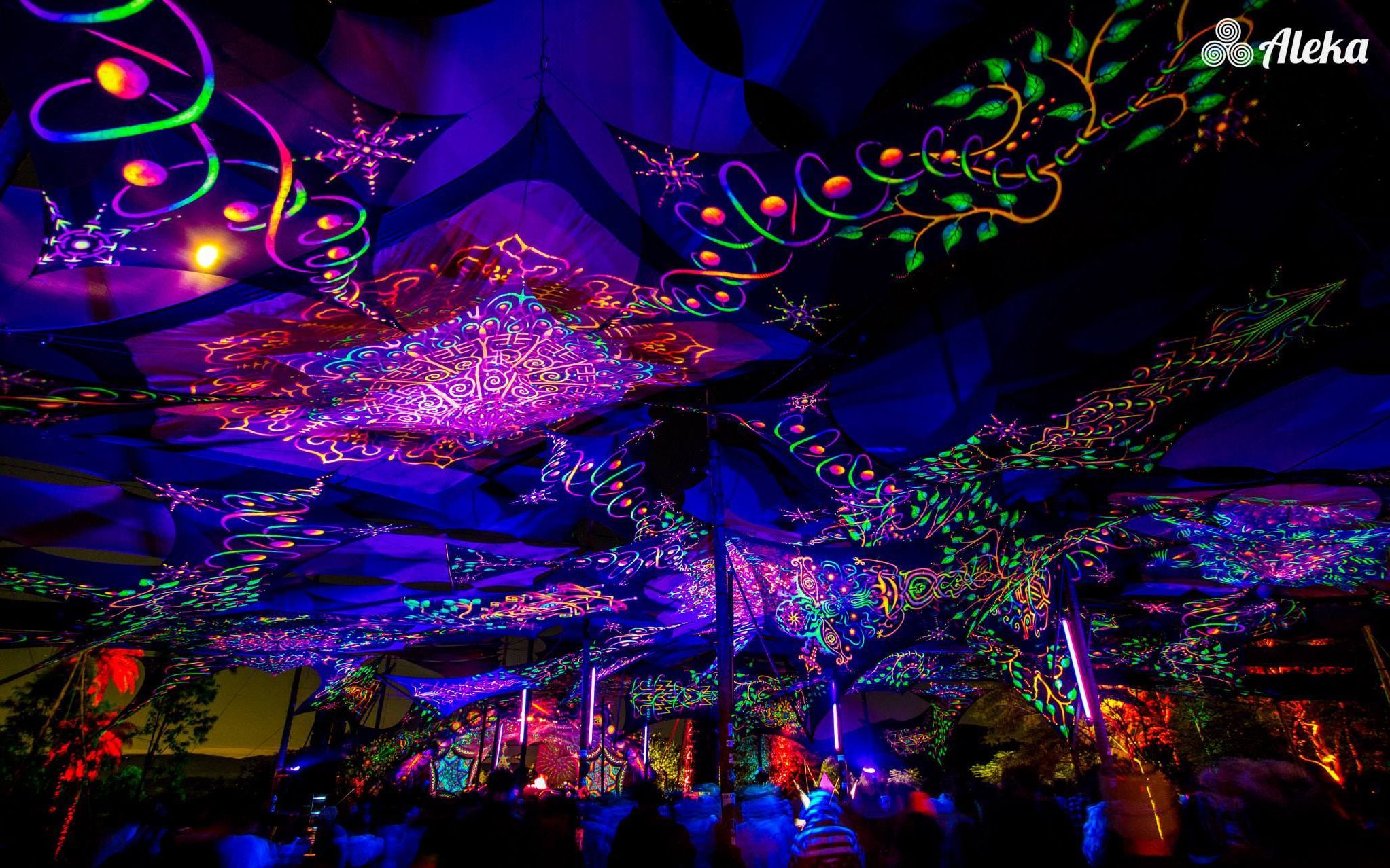 【psytrance】 wonderland 2019 main floor official aftermovie