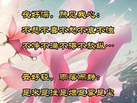 浪哥浪茶ⷩš笔日子哔哩哔哩bilibili