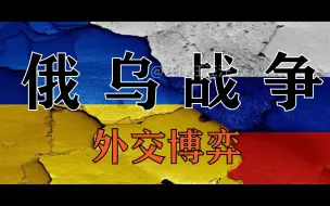 Descargar video: 俄乌战争：外交博弈