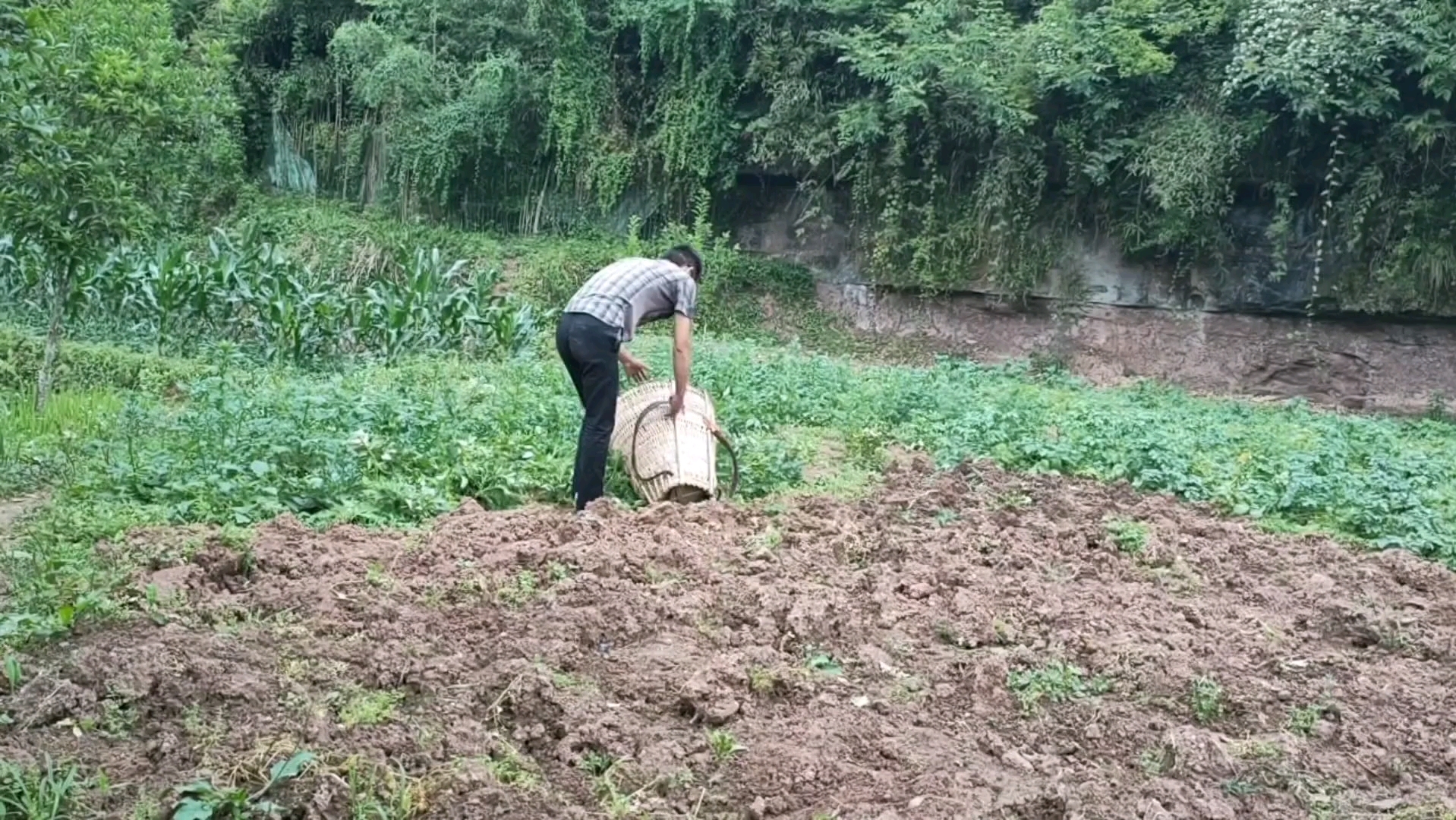 中午做了一桌,晚上继续吃剩饭剩菜.农村日常 乡村味道 农村生活 乡土风情哔哩哔哩bilibili