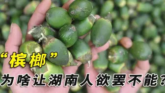 湖南不生产“槟榔”，为啥却成了“重灾区”？到底该不该禁售？