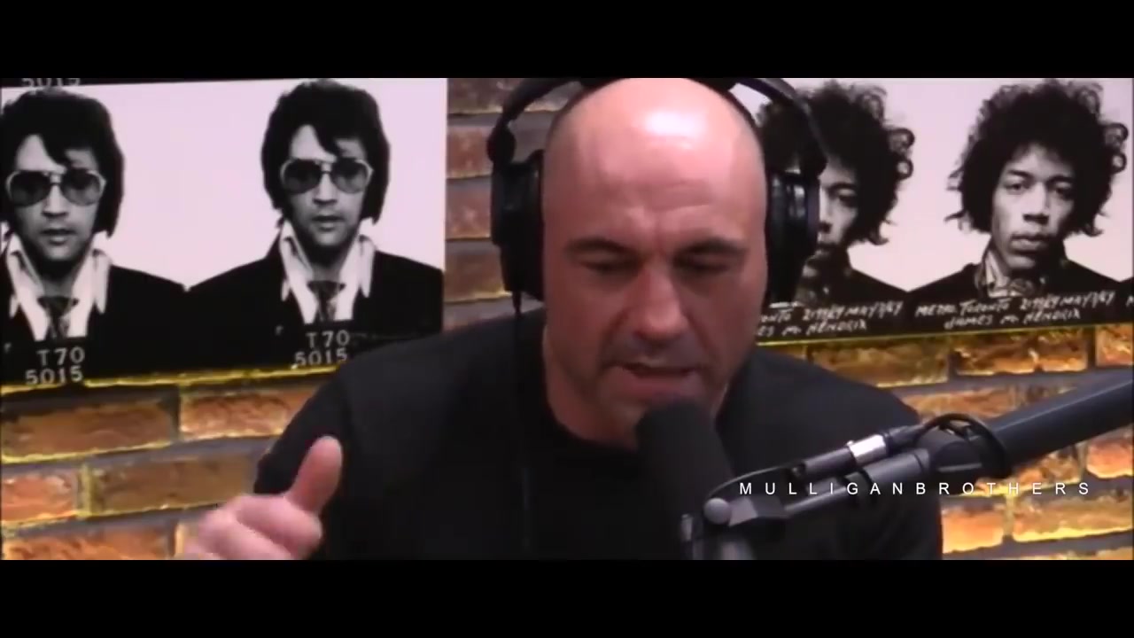 Joe Rogan励志鸡汤——成为自己的英雄哔哩哔哩bilibili