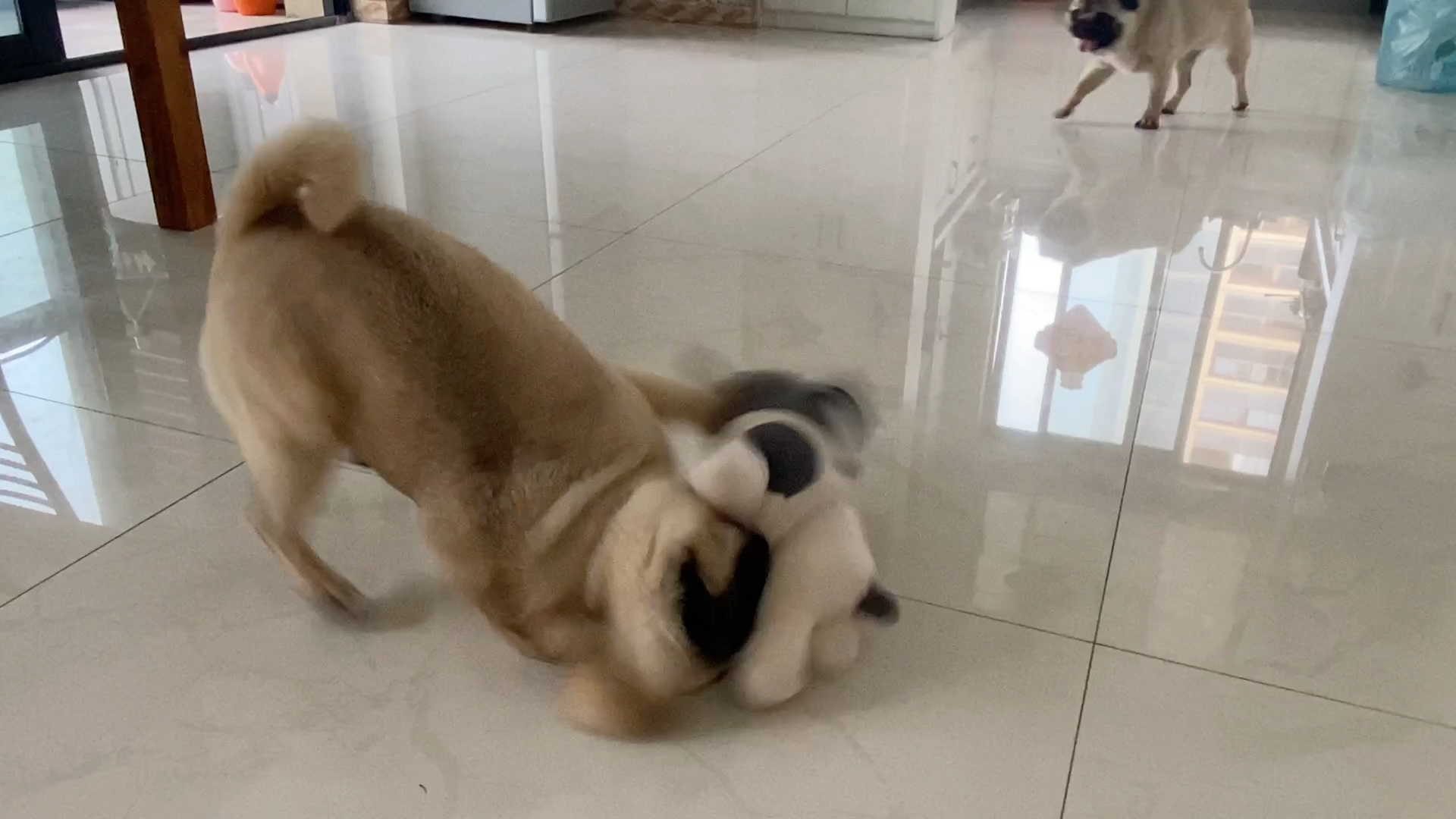 孽畜 现出原形 哈哈哈