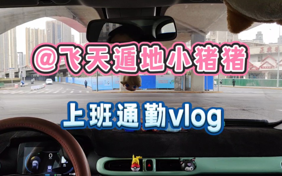 朝九晚四女生开车通勤vlog|今天主要是来秀麦麦包包滴哔哩哔哩bilibili