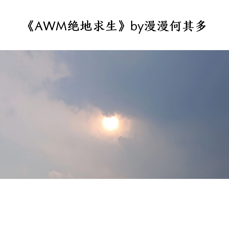 《awm绝地求生》哔哩哔哩bilibili