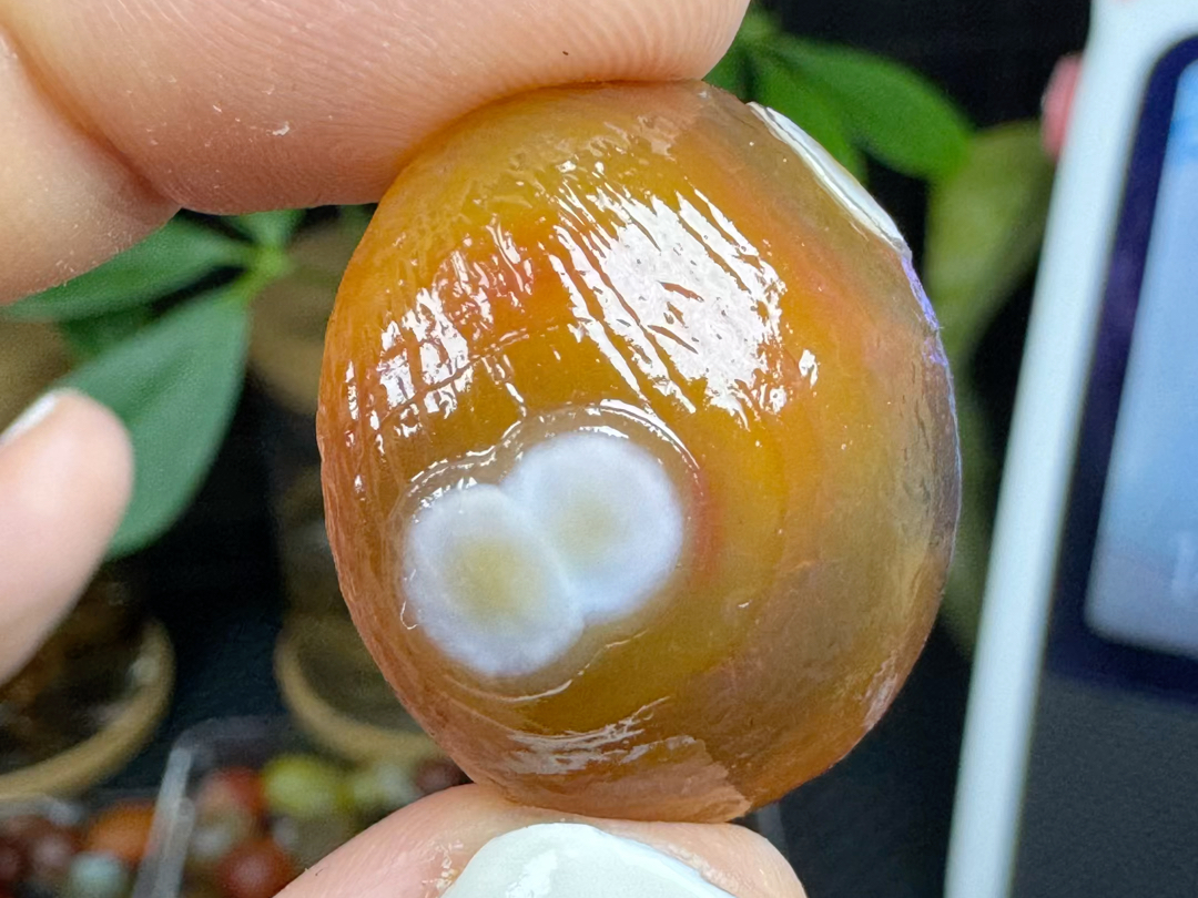 阿拉善花眼玛瑙奇石