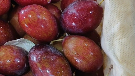 哈尔滨每日新鲜水果市场