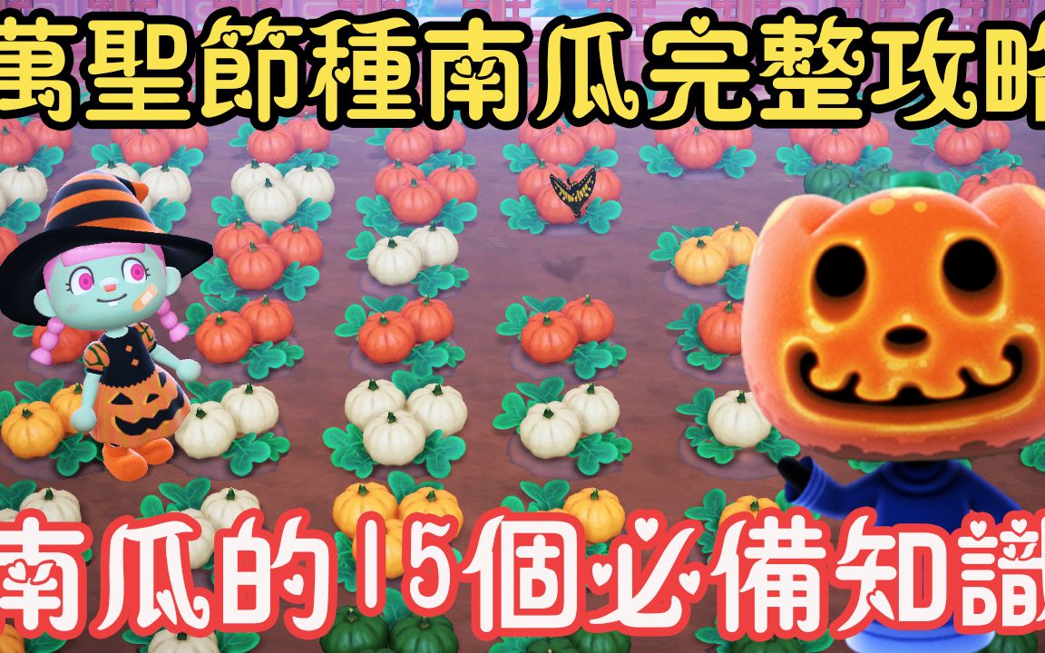 【动物森友会】万圣节种植南瓜的完整攻略 | 15个南瓜必备知识 | 你需要知道的都在这里啦 | 异色南瓜出现机率 | 游戏攻略哔哩哔哩bilibili