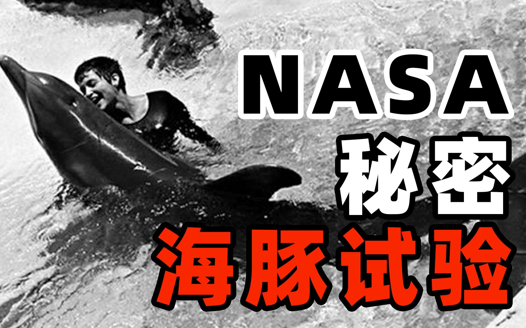 nasa绝密试验,教会海豚人类语言,结局让人意想不到_哔哩哔哩_bilibili