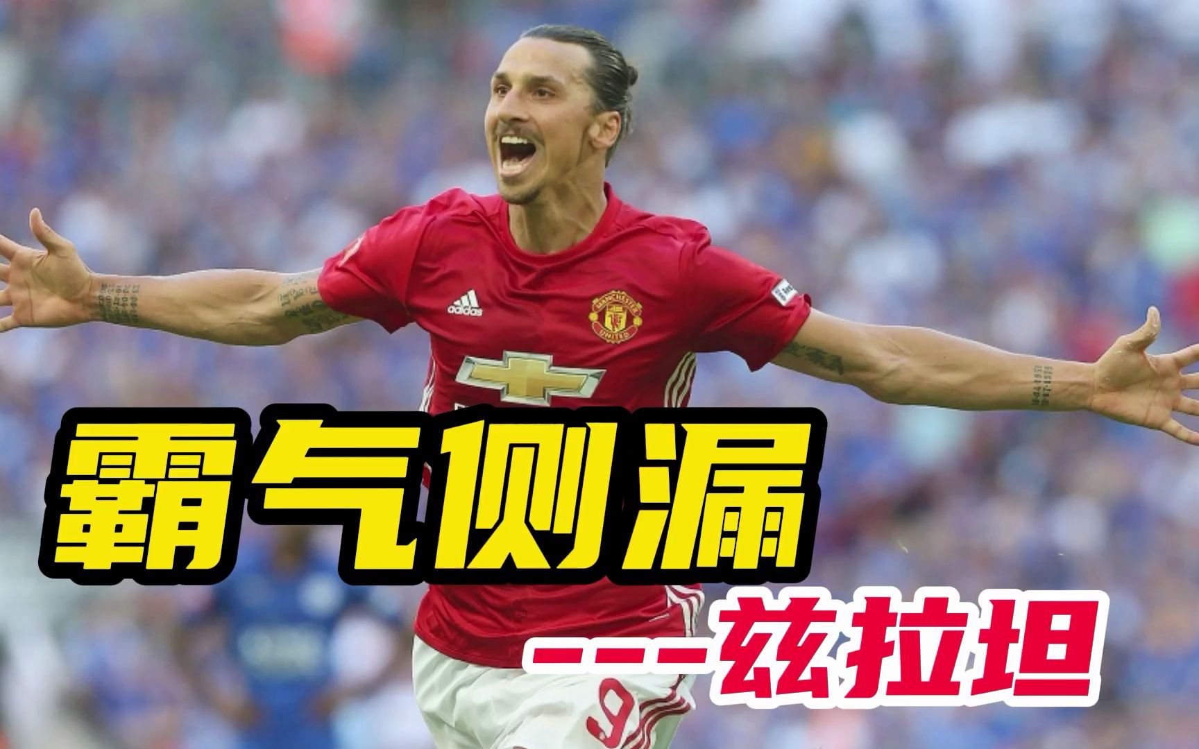 大奉先伊布不仅有神仙球,睚眦必报,霸气侧漏的大哥气质稳稳拿捏