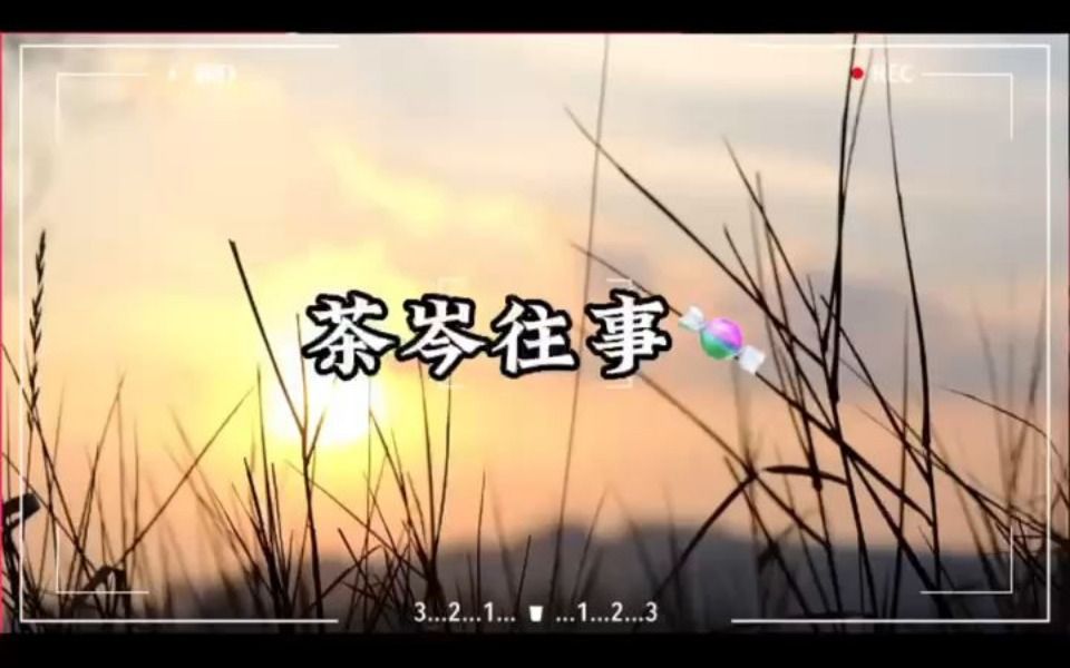 【茶岑】我看到了,你别哭~哔哩哔哩bilibili