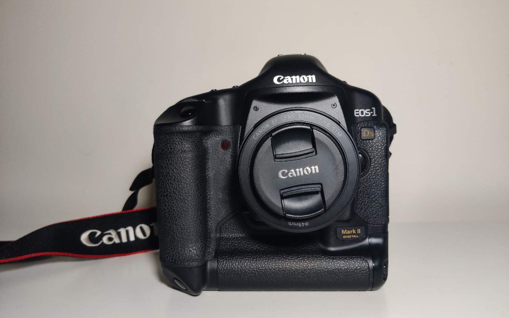 【1ds2】摄影小白入坑佳能老机皇的第一个月,记录一下生活