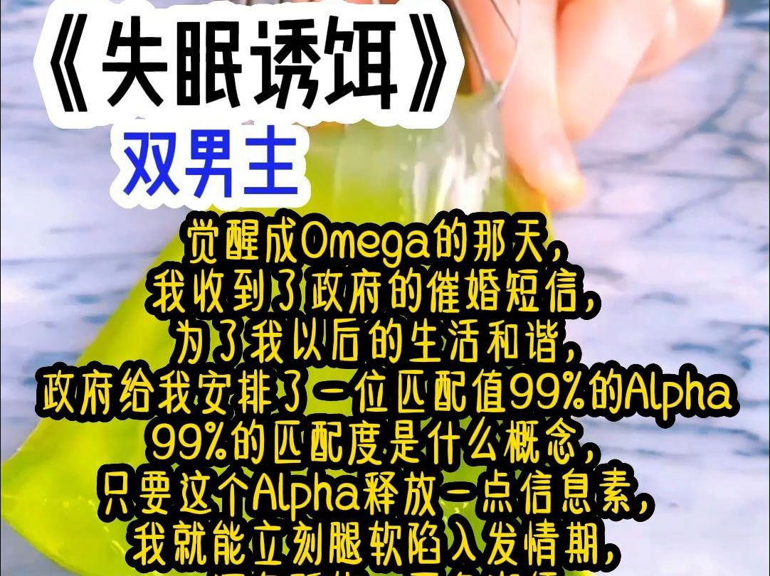 《失眠诱饵》觉醒成Omega的那天,我收到了政府的催婚短信,为了我以后的生活和谐,政府给我安排了一位匹配值99%的Alpha,99%的匹配度是什么概念,...