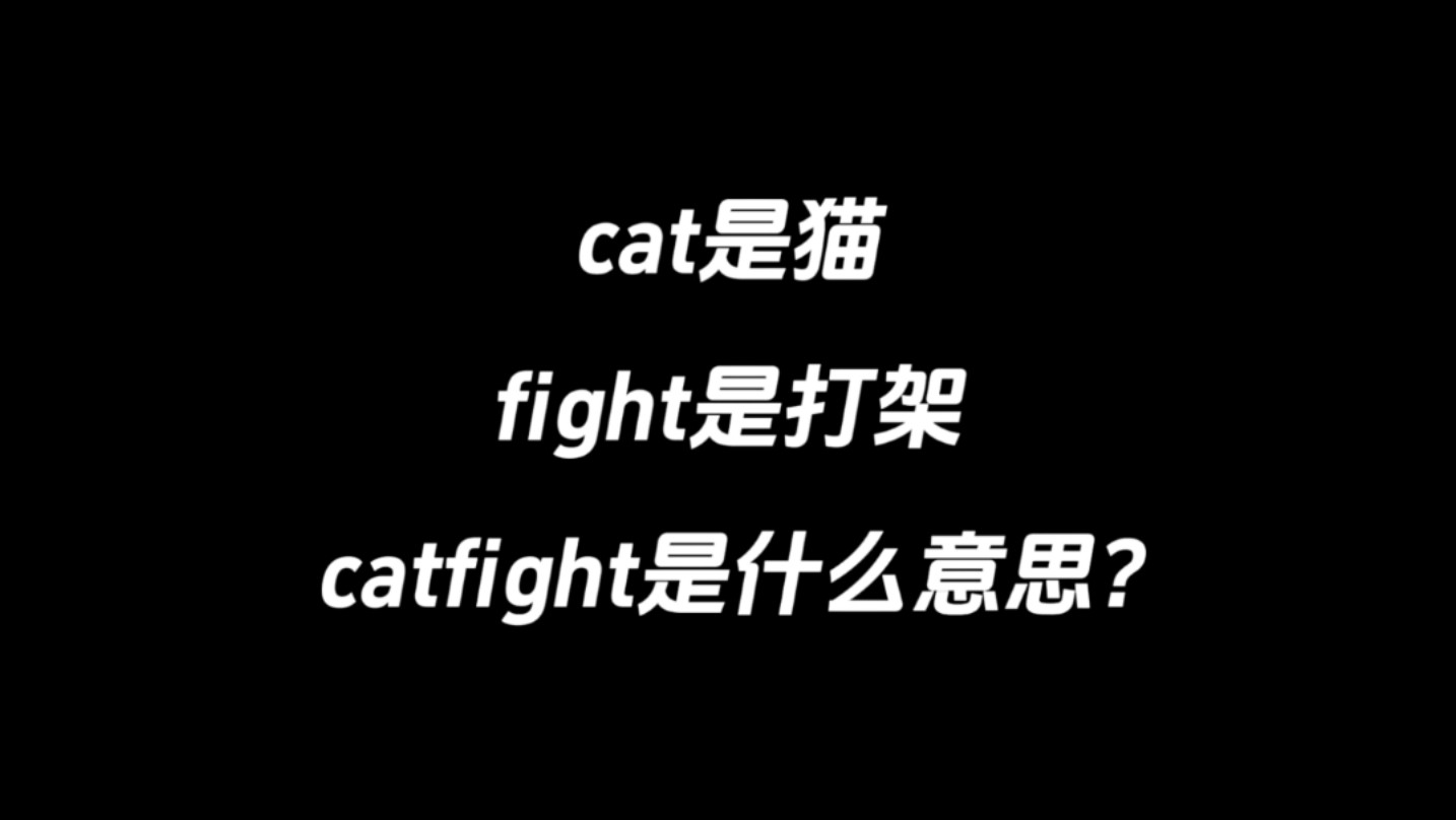 cat是猫,fight是打架,catfight是什么意思?哔哩哔哩bilibili