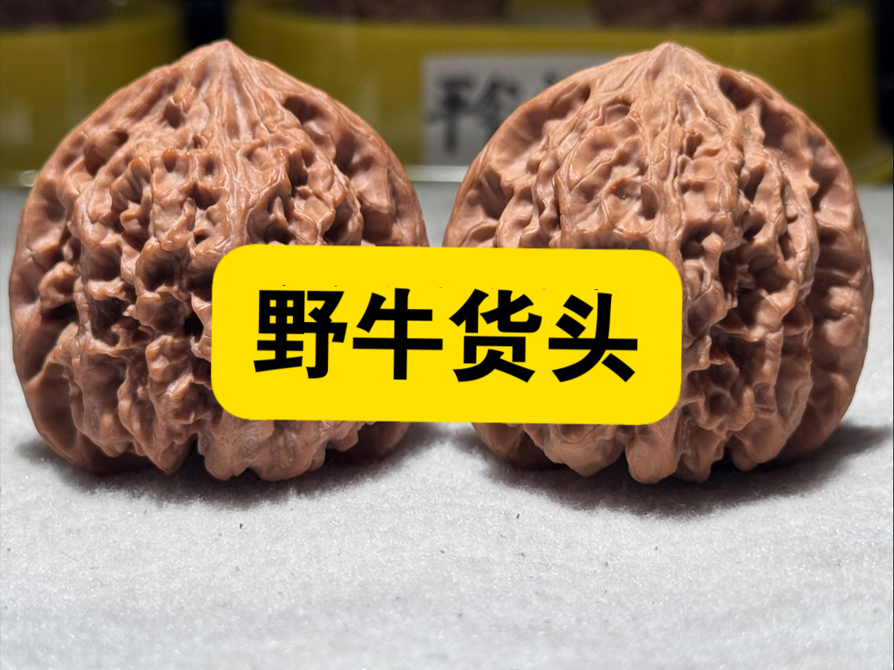 头货野牛狮子头,老树粉红皮,这款核桃公认的走色不走酱,上色比较快
