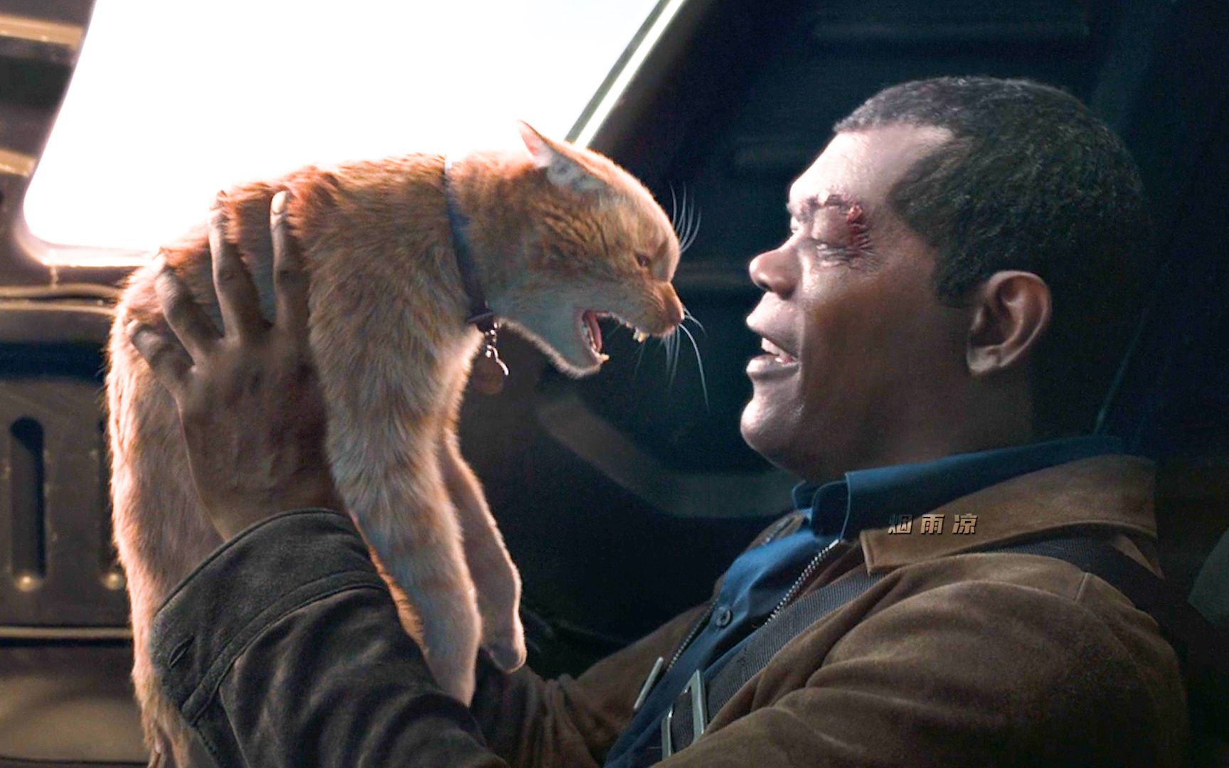 弗瑞它就是只可爱的橘猫哪是什么噬元兽