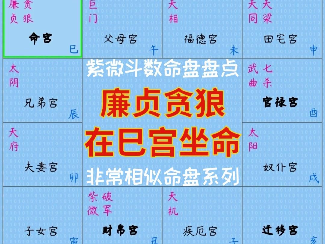 廉贞贪狼在巳宫坐命(紫微斗数非常相似命盘盘点)哔哩哔哩bilibili