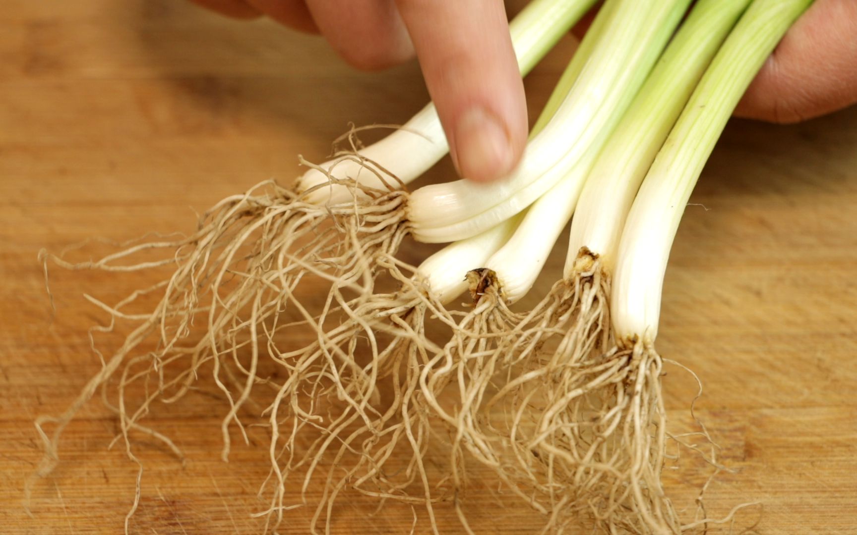 葱根不要再扔了用水煮一煮原来作用这么厉害太实用了