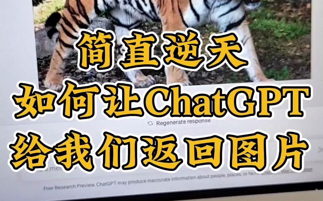 简直逆天!如何让ChatGPT给我们返回图片?哔哩哔哩bilibili