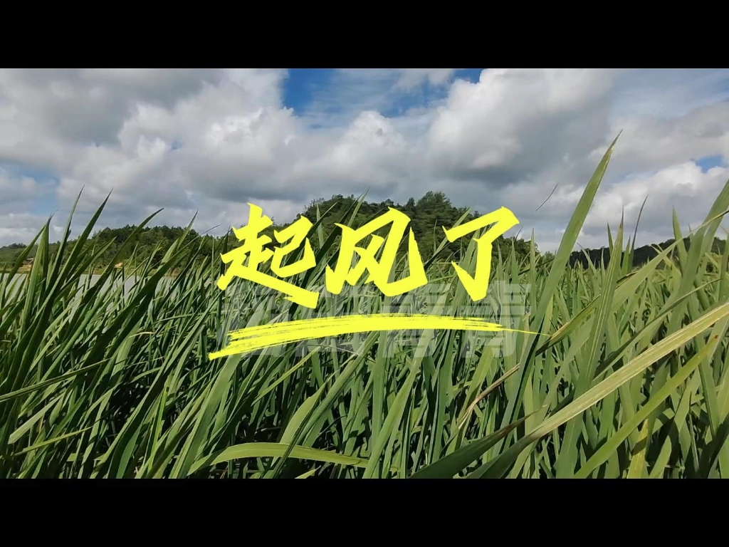 起风了#现代康旅产业学院#田间小课堂#乡村全面振兴#大地论文#农村