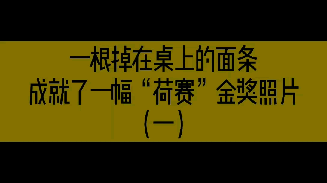 [图]荷赛摄影师储永志谈他的第二幅获奖作品《驯猴》。