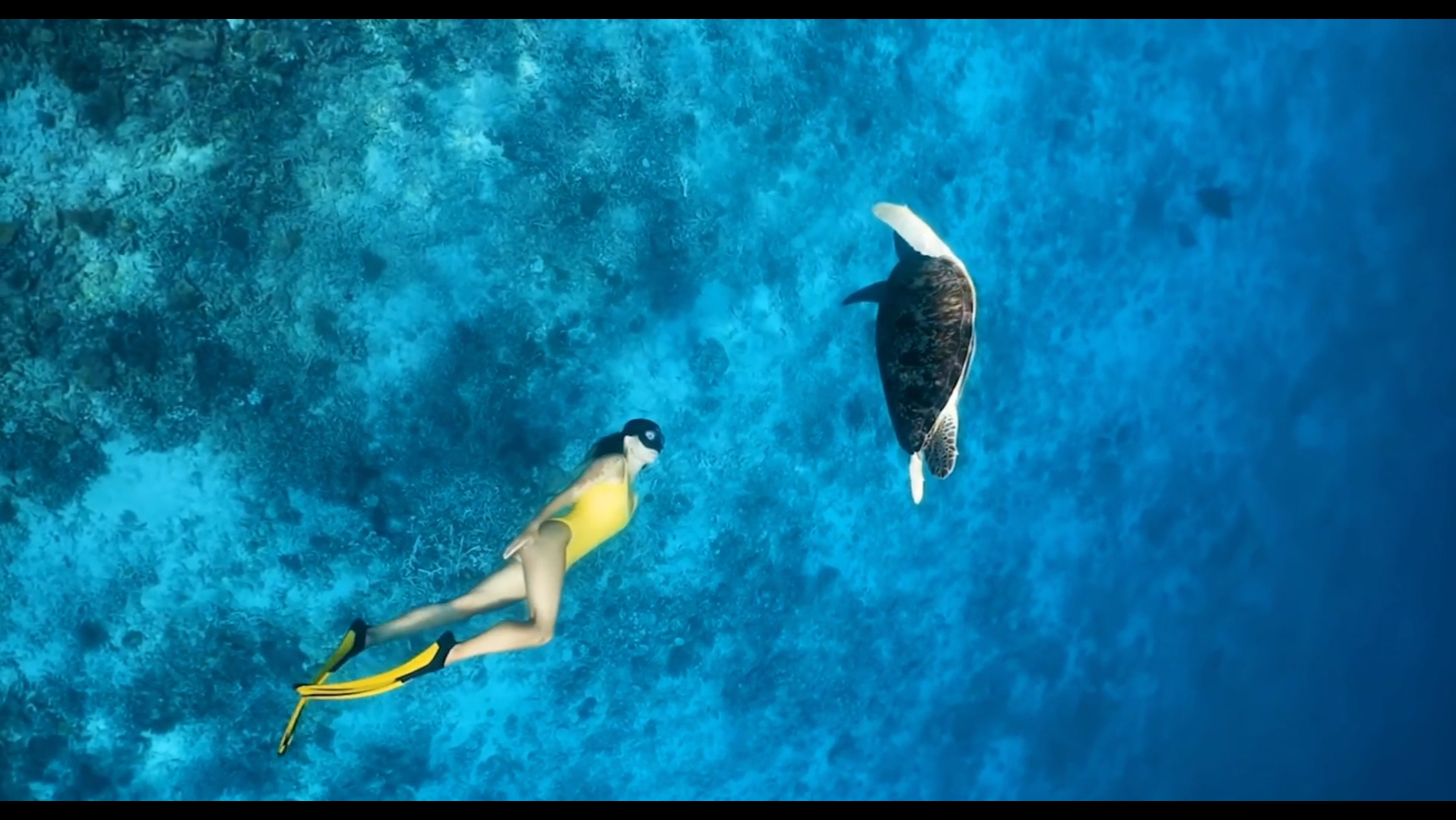 水族馆4哔哩哔哩bilibili