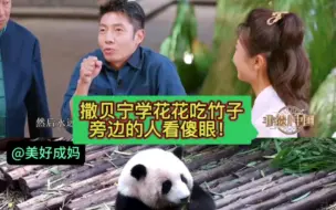 Download Video: 央视报道大熊猫和花花，撒贝宁老师学花花吃竹子到底有多像？