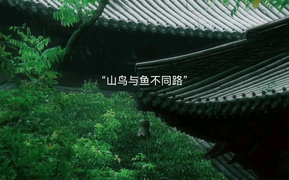 文字分享|"山鸟与鱼不同路,从此山水不相逢"