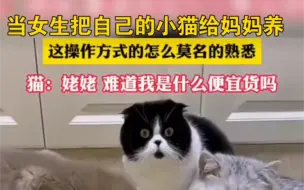 Video herunterladen: 猫：姥姥 难道我是什么便宜货吗？