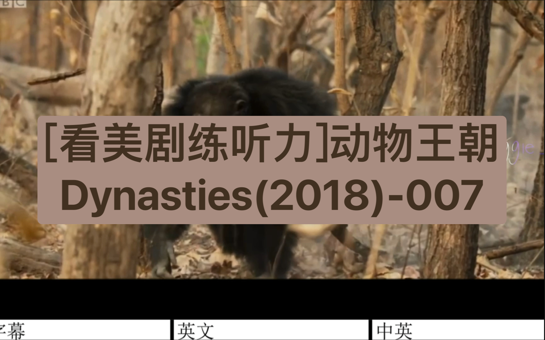 [图][看美剧练听力]动物王朝Dynasties(2018)-007