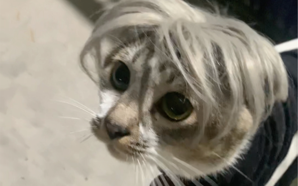 迎面跑来的你 让我蠢蠢欲动