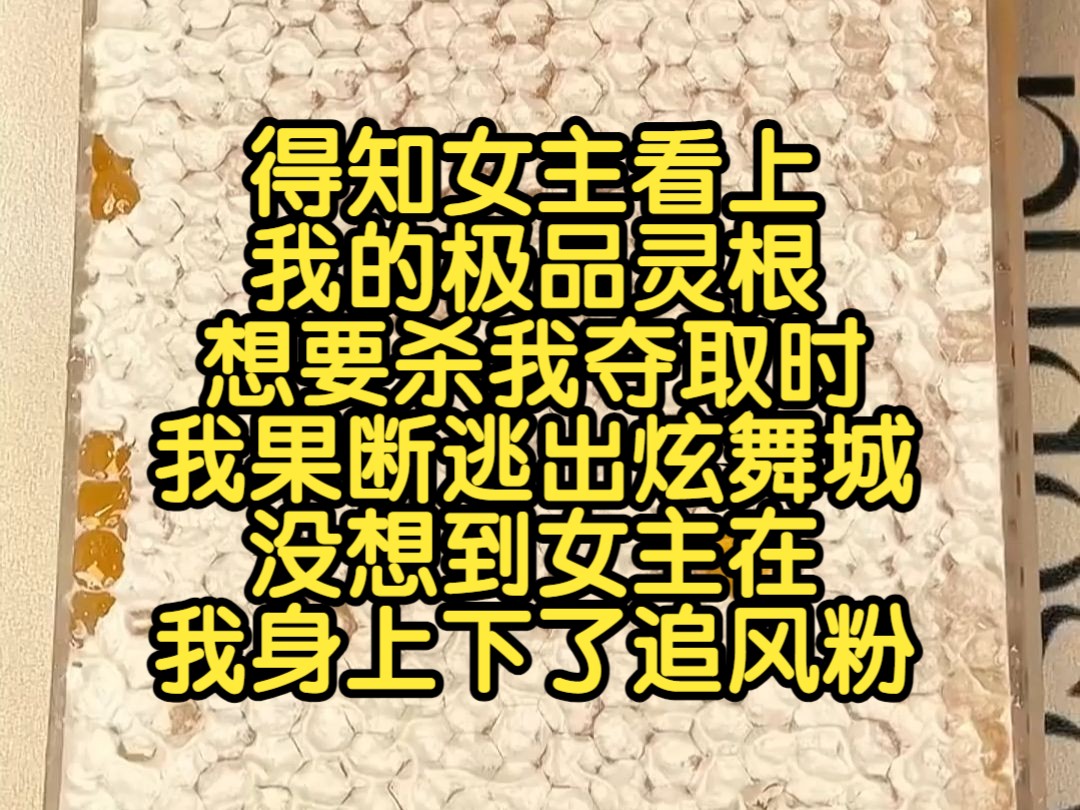 得知女主看上我的极品灵根想要杀我夺取时,我果断逃出炫舞城,没想到女主在我身上下了追风粉哔哩哔哩bilibili