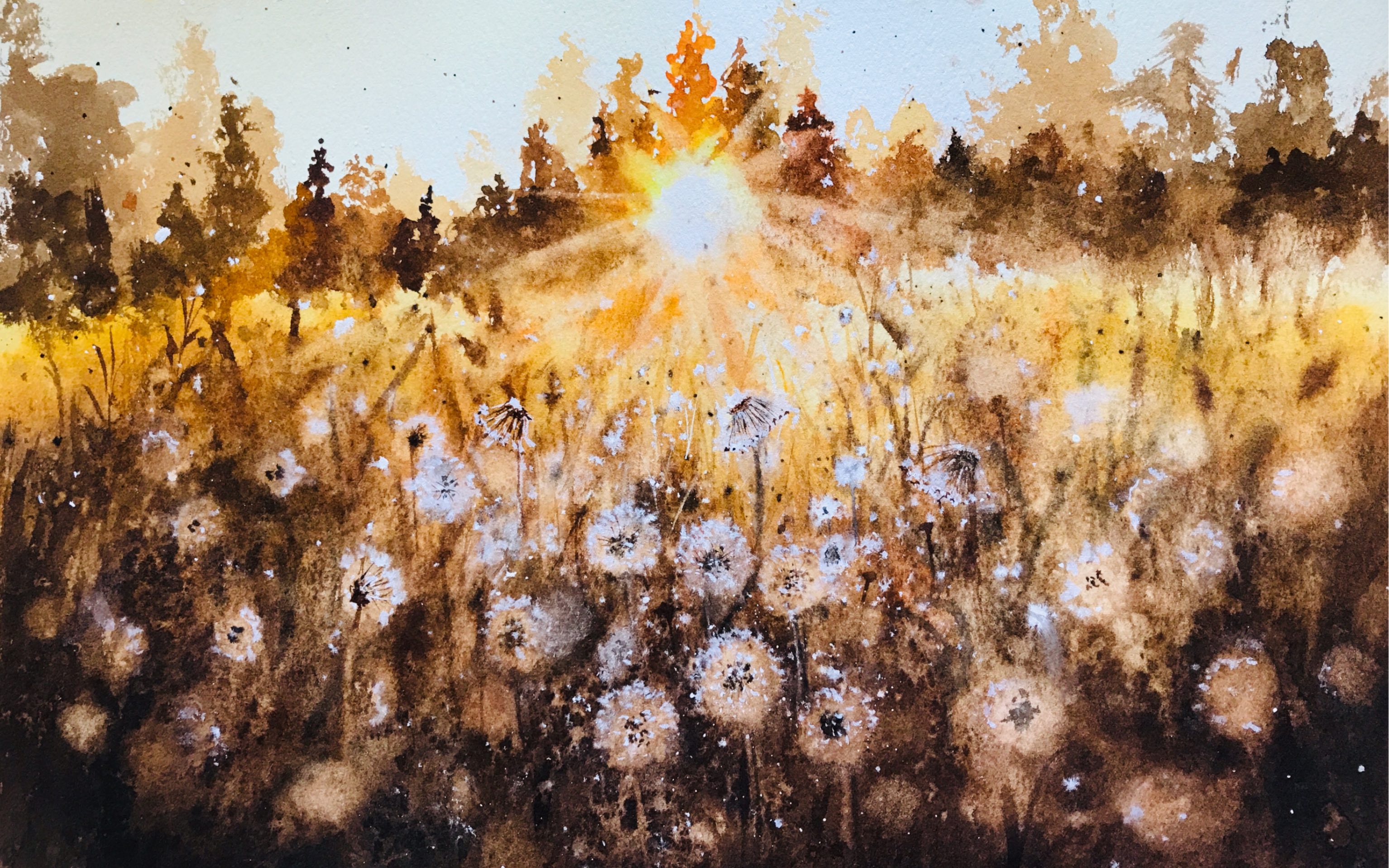 水彩蒲公英 #画画 #手绘 #水彩