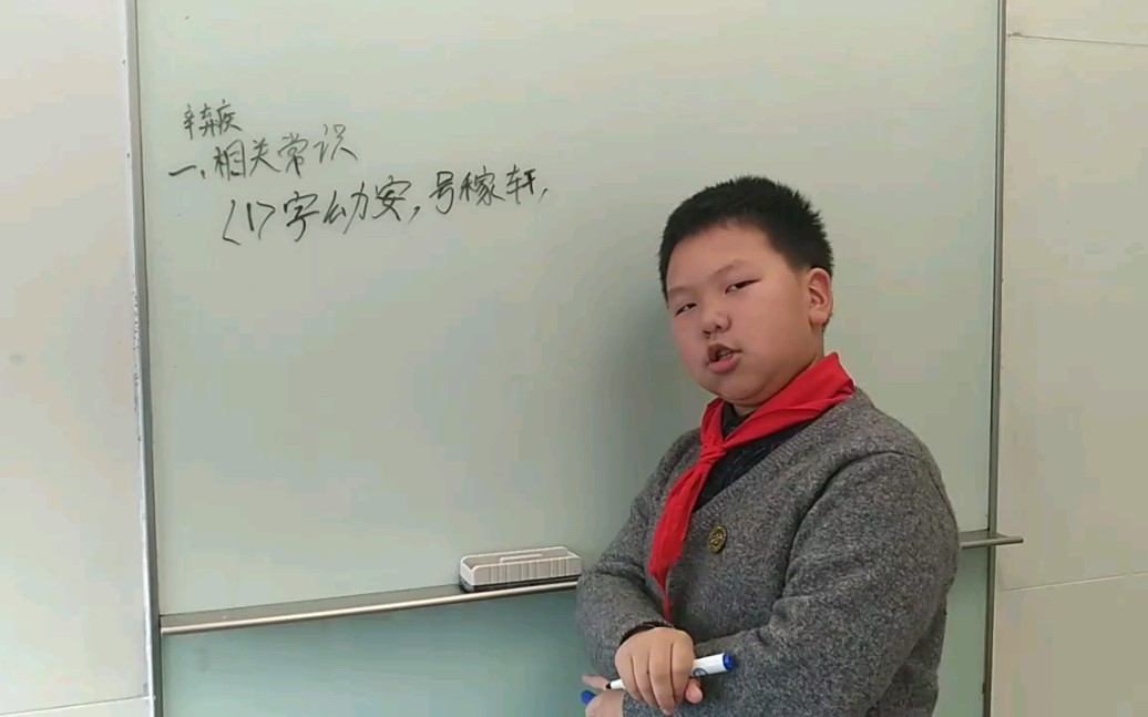 你不知道的辛弃疾哔哩哔哩bilibili