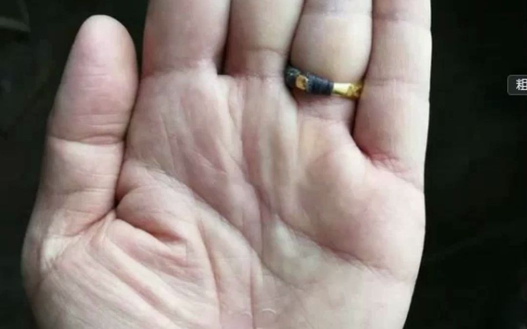 明觉手相分析:掌中元宝纹鉴别你的财路来源