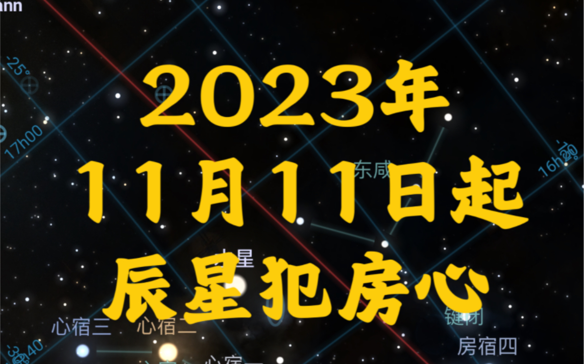 2023年11月11日至11月19日 辰星犯房心二宿哔哩哔哩bilibili