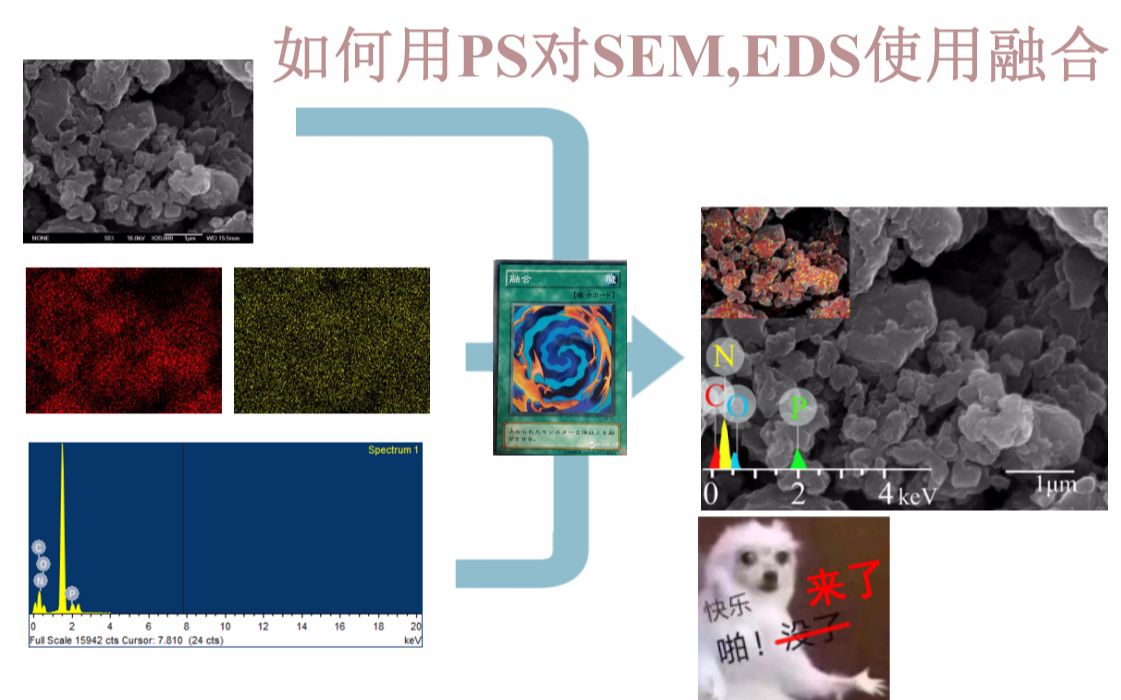 如何用PS对SEM与EDS使用融合!哔哩哔哩bilibili