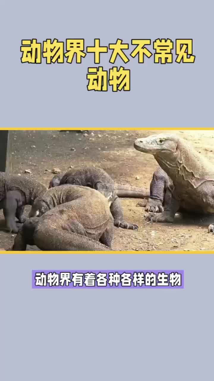 动物界的十大冷门动物哔哩哔哩bilibili